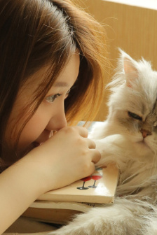 大桥未久紧身裙女教师